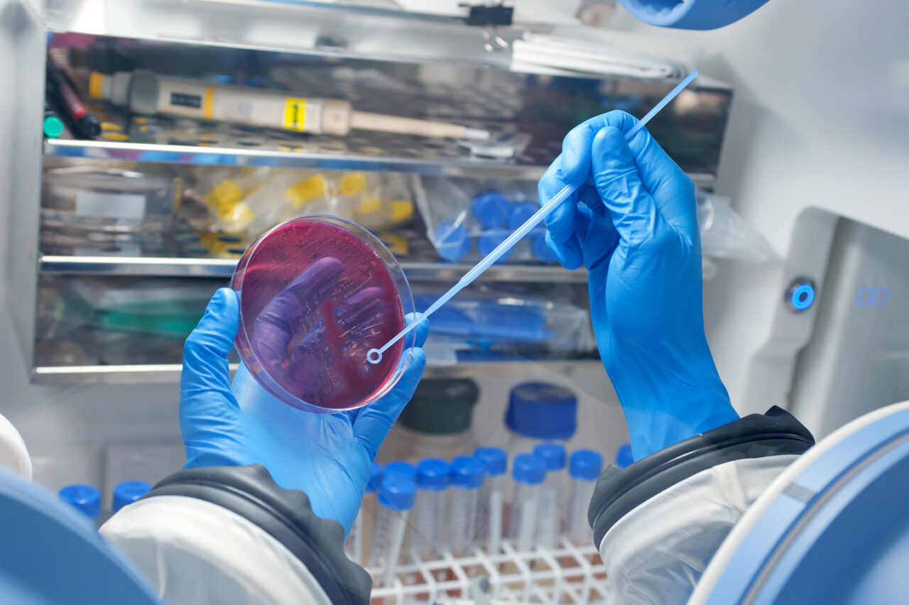 Performing,Microbiological,Culture,In,Laminar,Chamber